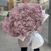 51 розовая гипсофила